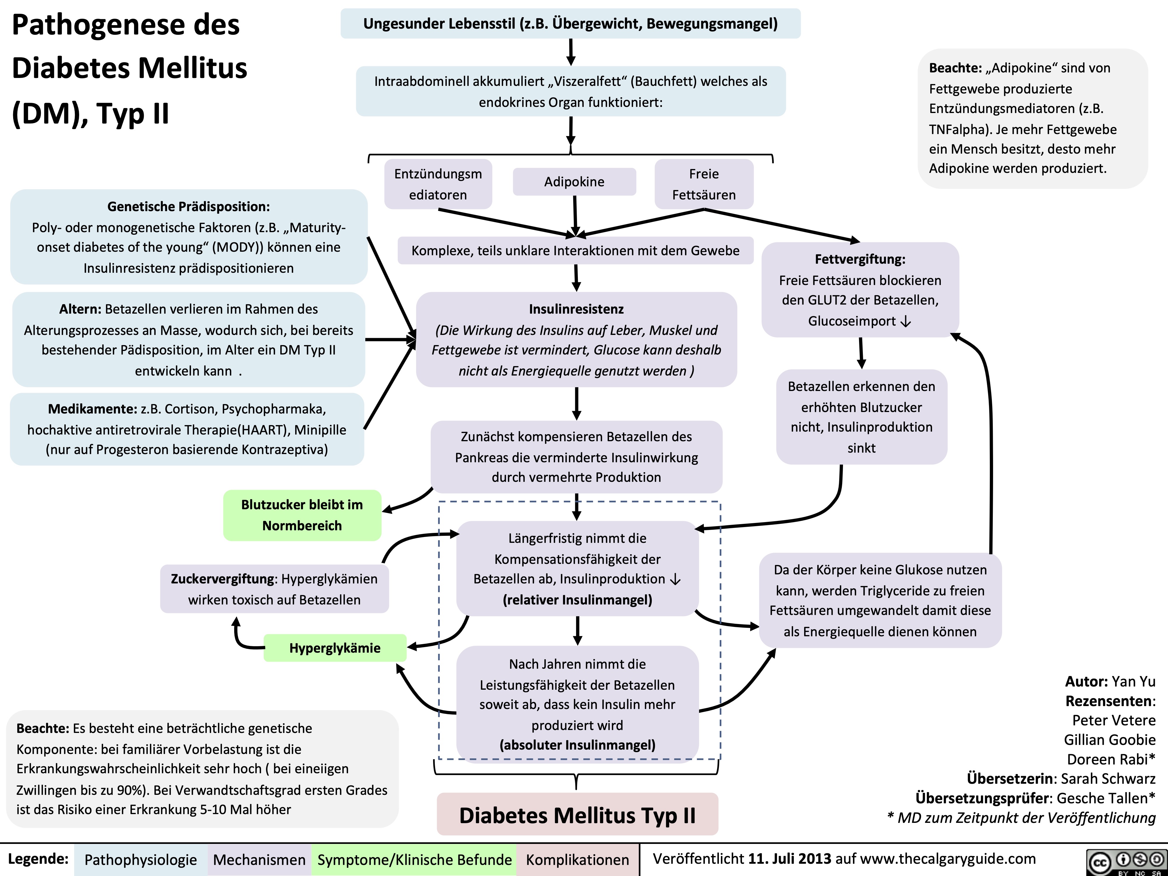 Diabetes Mellitus: Pathophysiologie Und Mechanismen