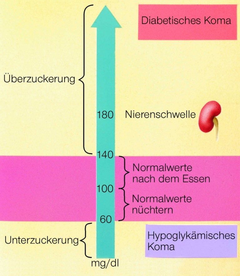 Diabetes Mellitus: Wissen, Einstellung Und Praxis – Ein Umfassender Überblick