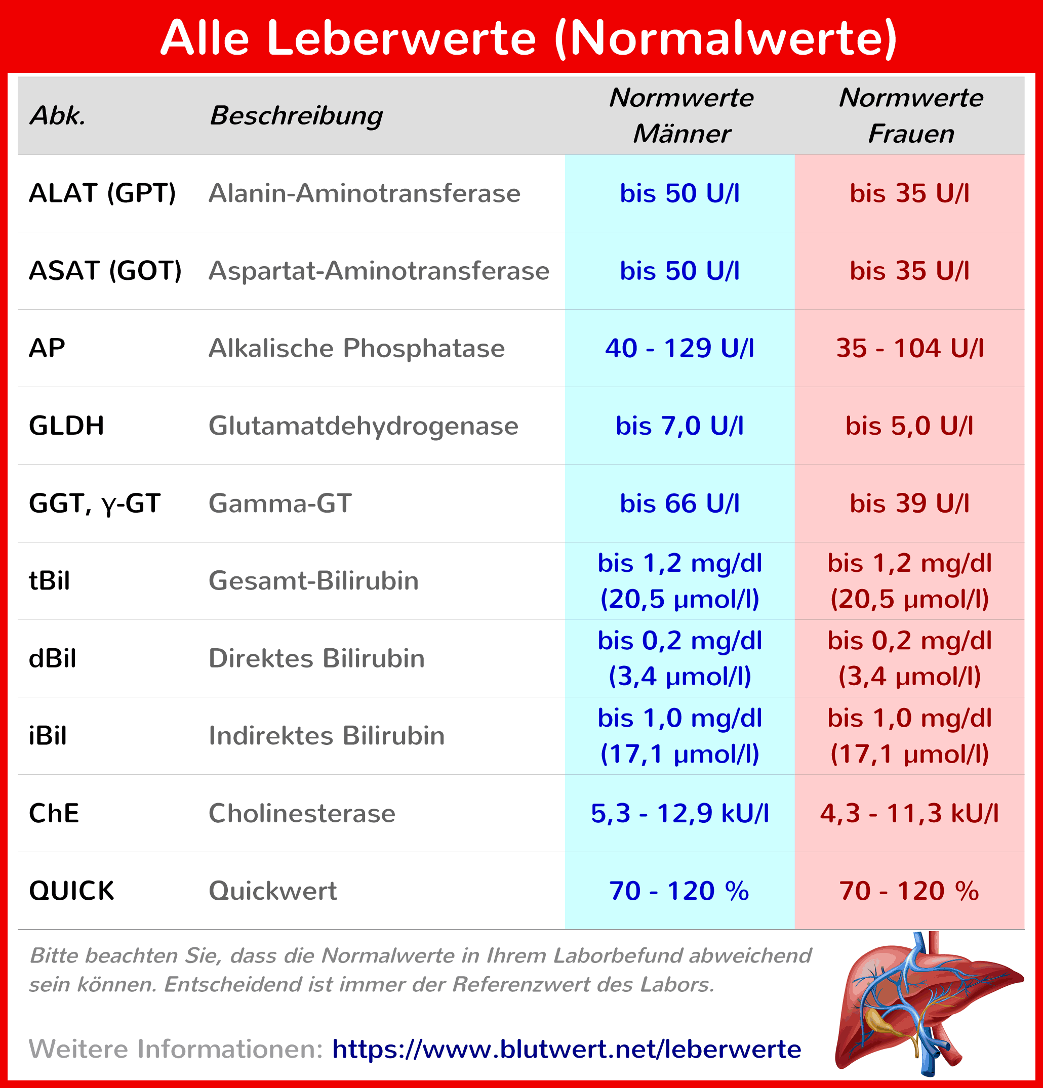 Diabetes Mellitus Und Leberwerte: Ein Komplexer Zusammenhang