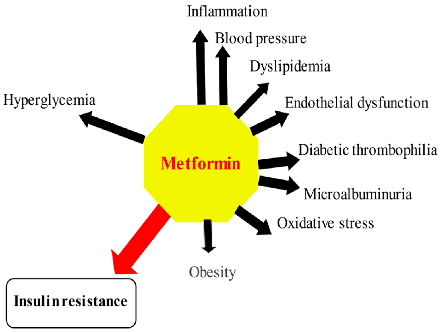 Diabetes Mellitus Typ 2: Metformin – Ein Eckpfeiler Der Therapie