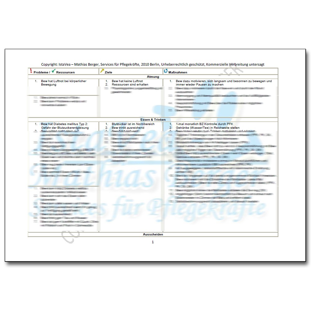 Diabetes Mellitus: Pflegeplan Und Management