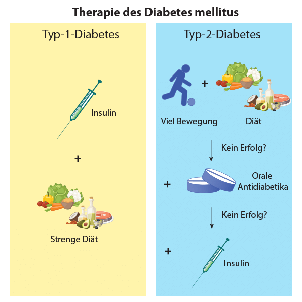 Diabetes Mellitus: Eine Komplexe Krankheit Und Ihre Medikamentöse Therapie